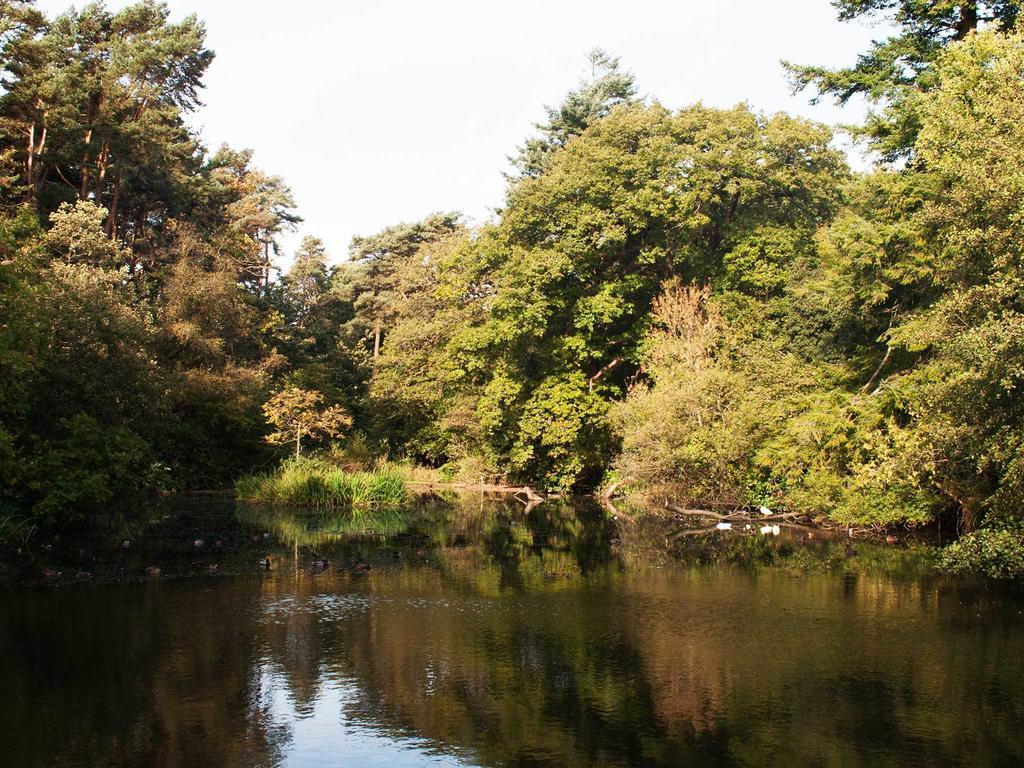 Bryngarw House Hotel Bridgend  Buitenkant foto